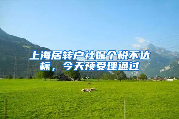 上海居转户社保个税不达标，今天预受理通过