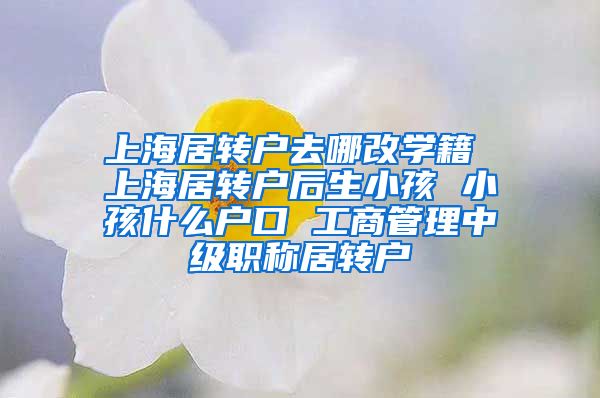 上海居转户去哪改学籍 上海居转户后生小孩 小孩什么户口 工商管理中级职称居转户