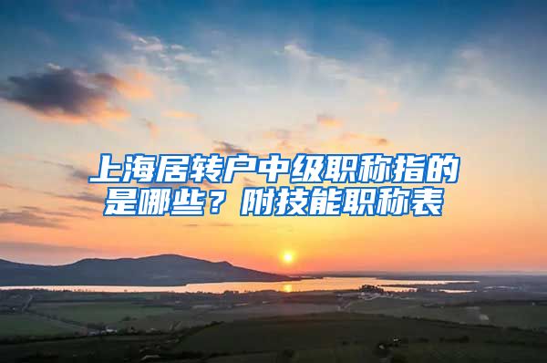 上海居转户中级职称指的是哪些？附技能职称表