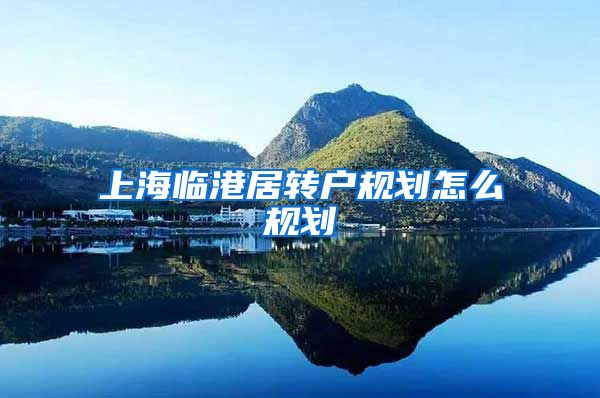 上海临港居转户规划怎么规划
