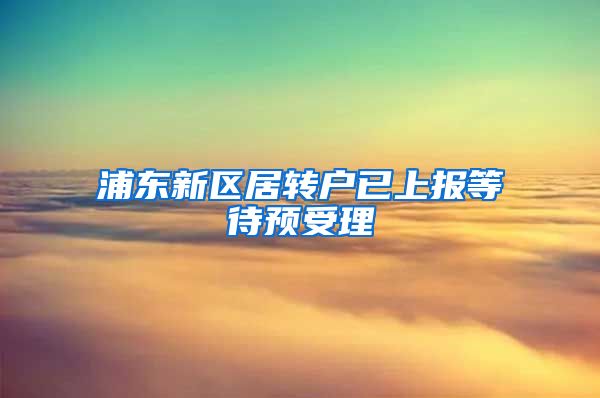 浦东新区居转户已上报等待预受理