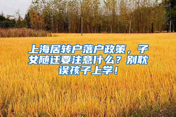 上海居转户落户政策，子女随迁要注意什么？别耽误孩子上学！