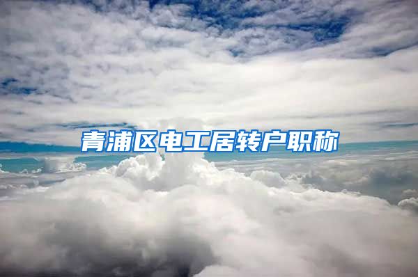 青浦区电工居转户职称