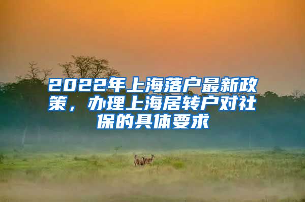 2022年上海落户最新政策，办理上海居转户对社保的具体要求