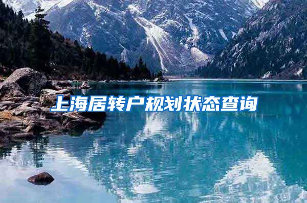 上海居转户规划状态查询