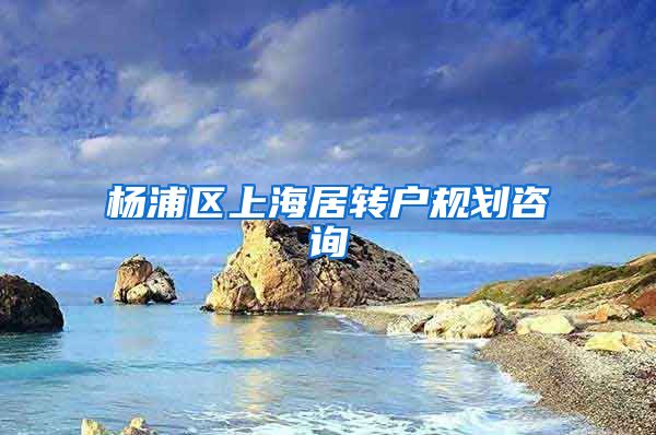 杨浦区上海居转户规划咨询