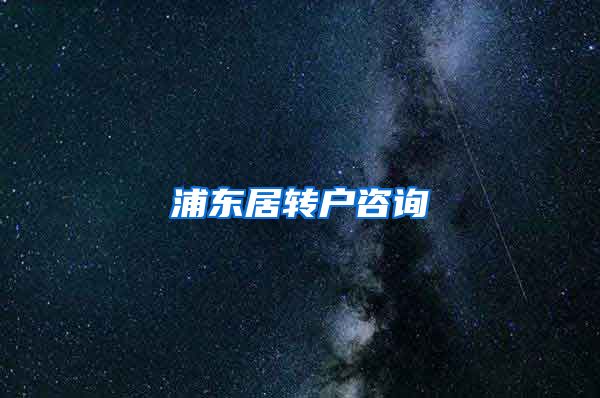 浦东居转户咨询