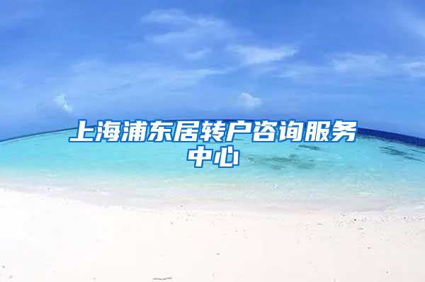 上海浦东居转户咨询服务中心