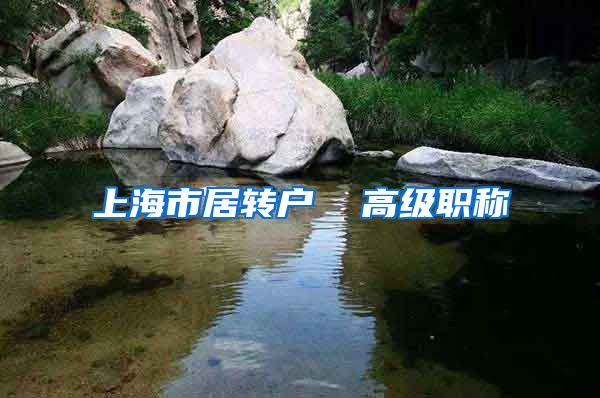 上海市居转户  高级职称