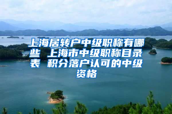 上海居转户中级职称有哪些 上海市中级职称目录表 积分落户认可的中级资格