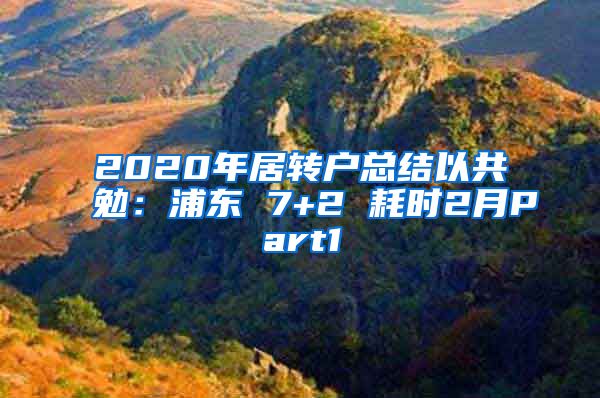 2020年居转户总结以共勉：浦东 7+2 耗时2月Part1