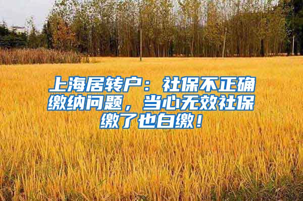 上海居转户：社保不正确缴纳问题，当心无效社保缴了也白缴！
