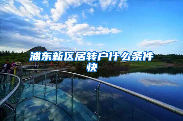 浦东新区居转户什么条件快