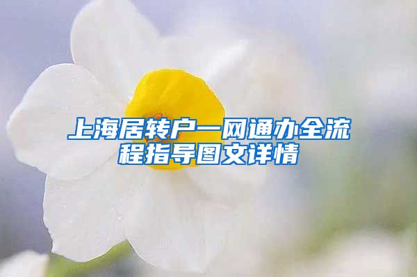 上海居转户一网通办全流程指导图文详情