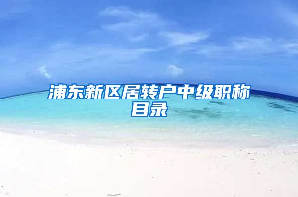 浦东新区居转户中级职称目录