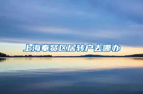 上海奉贤区居转户去哪办