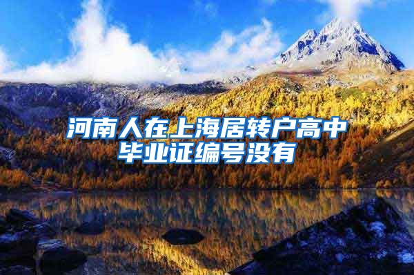 河南人在上海居转户高中毕业证编号没有
