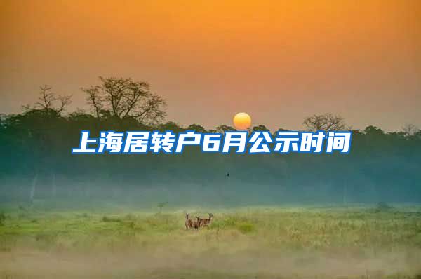 上海居转户6月公示时间