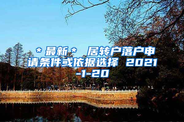 ＊最新＊ 居转户落户申请条件或依据选择 2021-1-20