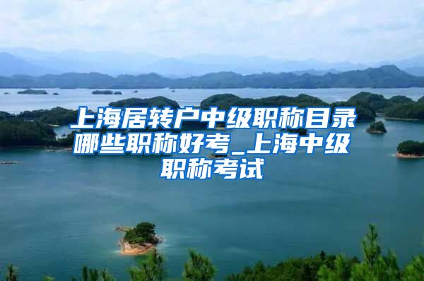 上海居转户中级职称目录哪些职称好考_上海中级职称考试