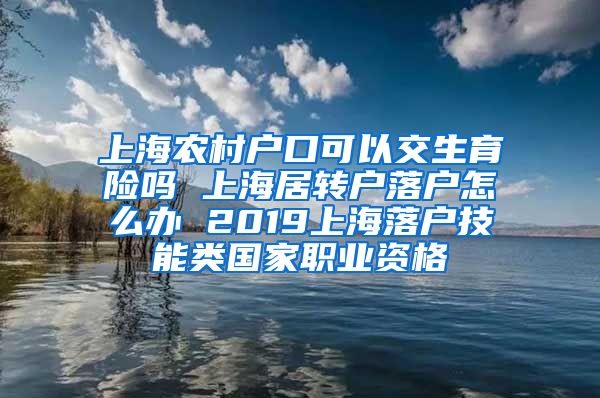 上海农村户口可以交生育险吗 上海居转户落户怎么办 2019上海落户技能类国家职业资格