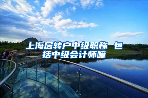 上海居转户中级职称 包括中级会计师嘛