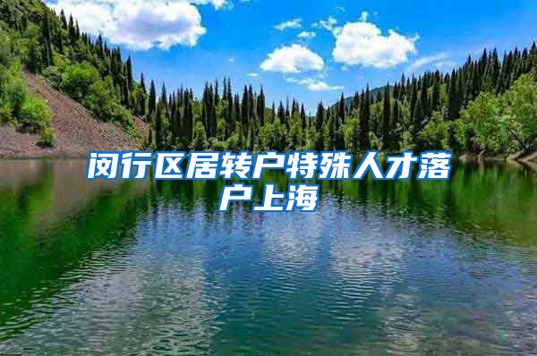 闵行区居转户特殊人才落户上海