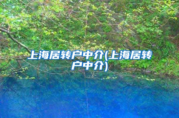 上海居转户中介(上海居转户中介)