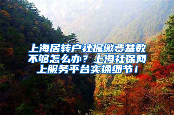 上海居转户社保缴费基数不够怎么办？上海社保网上服务平台实操细节！