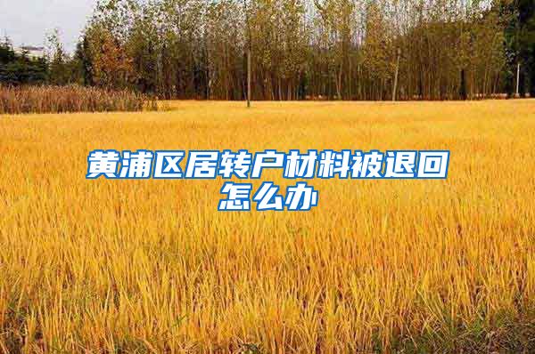 黄浦区居转户材料被退回怎么办