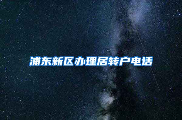 浦东新区办理居转户电话