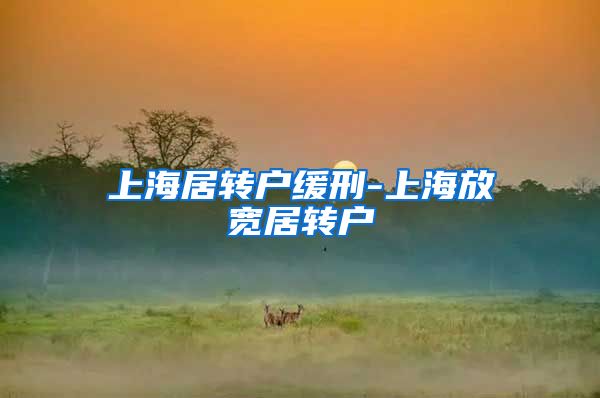 上海居转户缓刑-上海放宽居转户