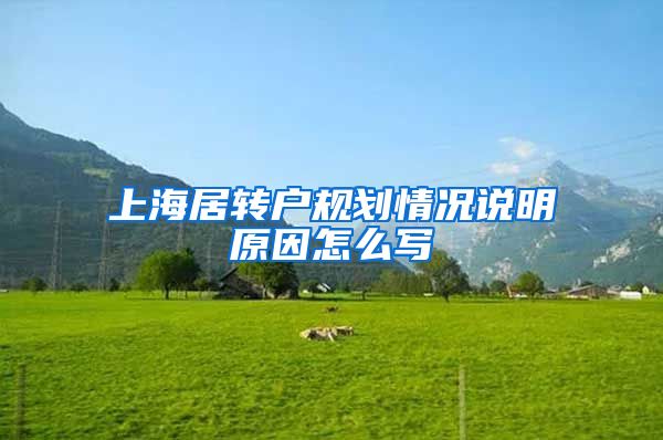 上海居转户规划情况说明原因怎么写