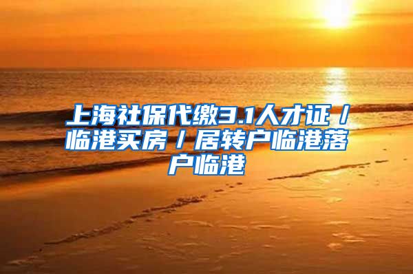上海社保代缴3.1人才证／临港买房／居转户临港落户临港