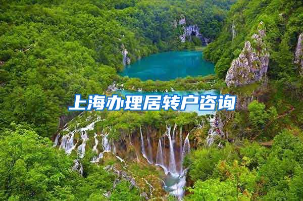 上海办理居转户咨询