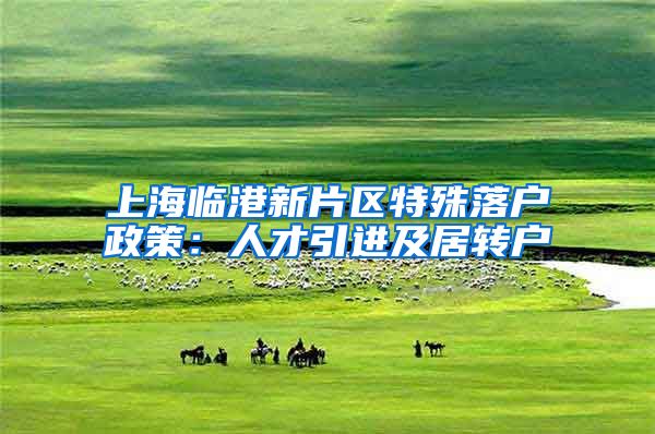 上海临港新片区特殊落户政策：人才引进及居转户