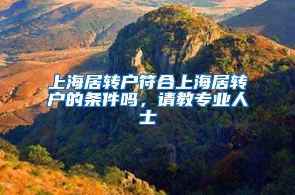上海居转户符合上海居转户的条件吗，请教专业人士