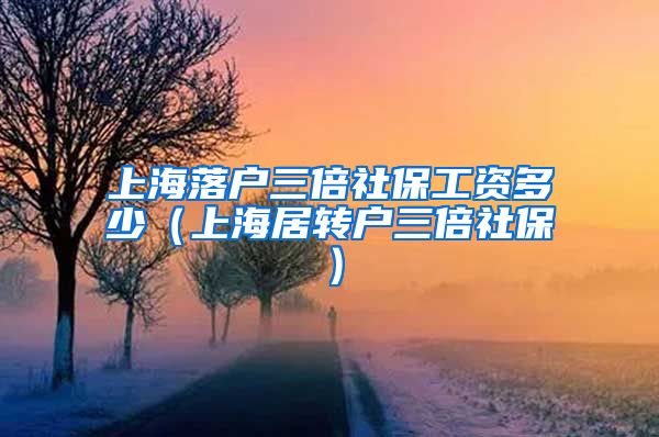 上海落户三倍社保工资多少（上海居转户三倍社保）
