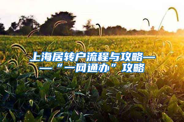 上海居转户流程与攻略——“一网通办”攻略