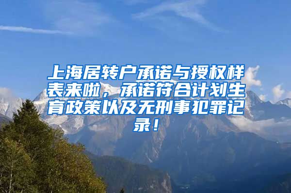 上海居转户承诺与授权样表来啦，承诺符合计划生育政策以及无刑事犯罪记录！