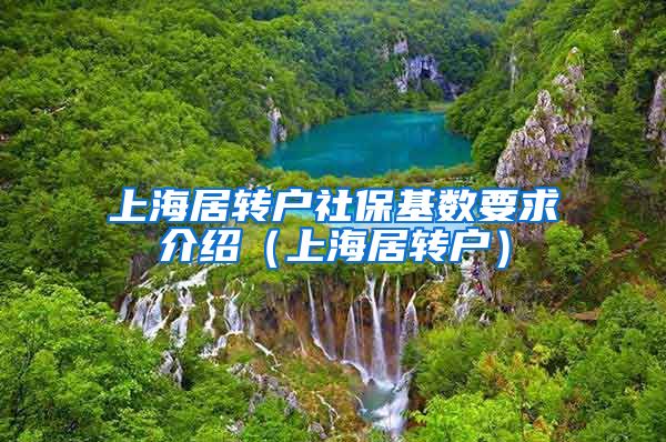 上海居转户社保基数要求介绍（上海居转户）