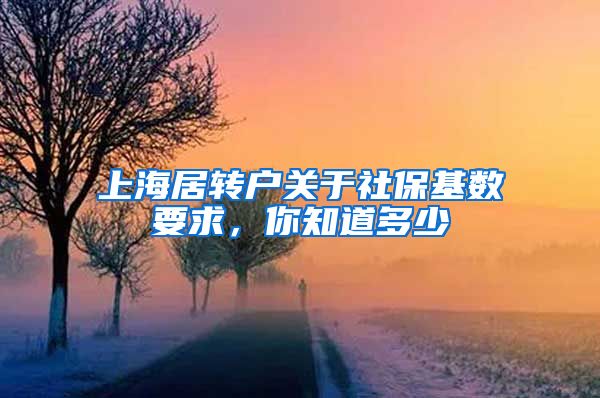 上海居转户关于社保基数要求，你知道多少