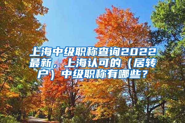 上海中级职称查询2022最新，上海认可的（居转户）中级职称有哪些？