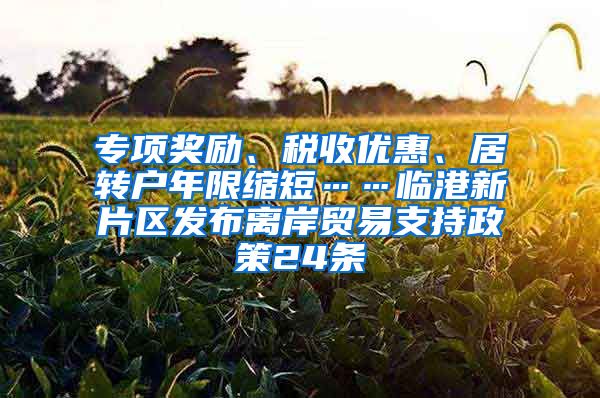 专项奖励、税收优惠、居转户年限缩短……临港新片区发布离岸贸易支持政策24条