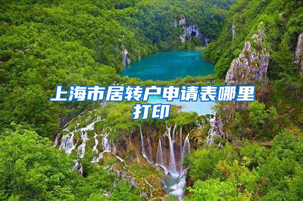 上海市居转户申请表哪里打印