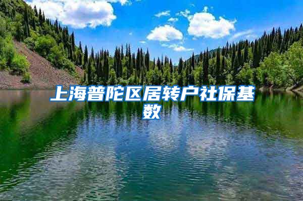 上海普陀区居转户社保基数