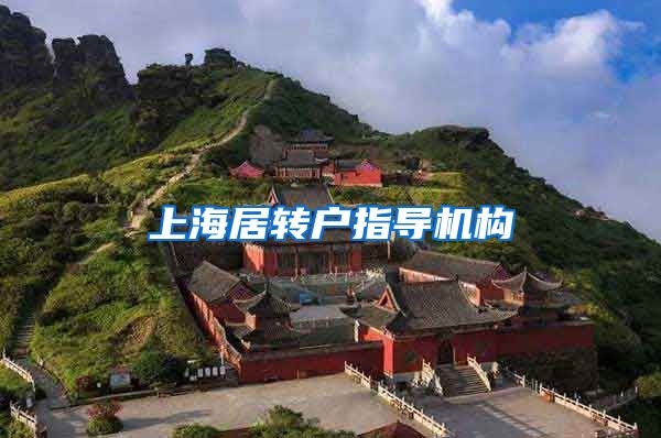 上海居转户指导机构