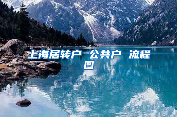 上海居转户 公共户 流程图