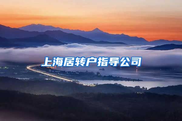 上海居转户指导公司