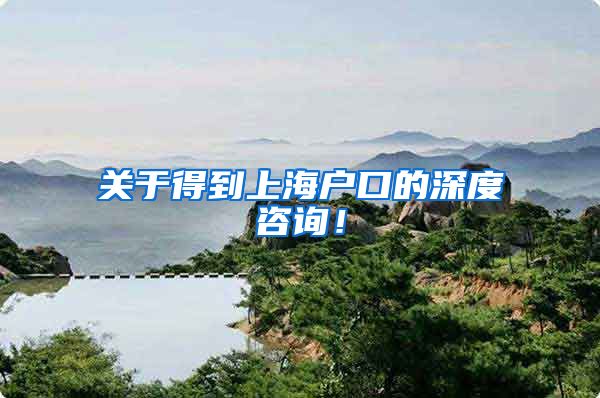 关于得到上海户口的深度咨询！